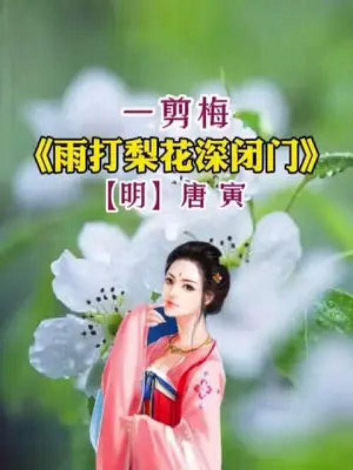 雨打梨花深閉門,忘了青春,誤了青春 曉看天色暮看云,行也思君,坐也思君 古風(fēng) 情感 東方古典詩詞 剪同款